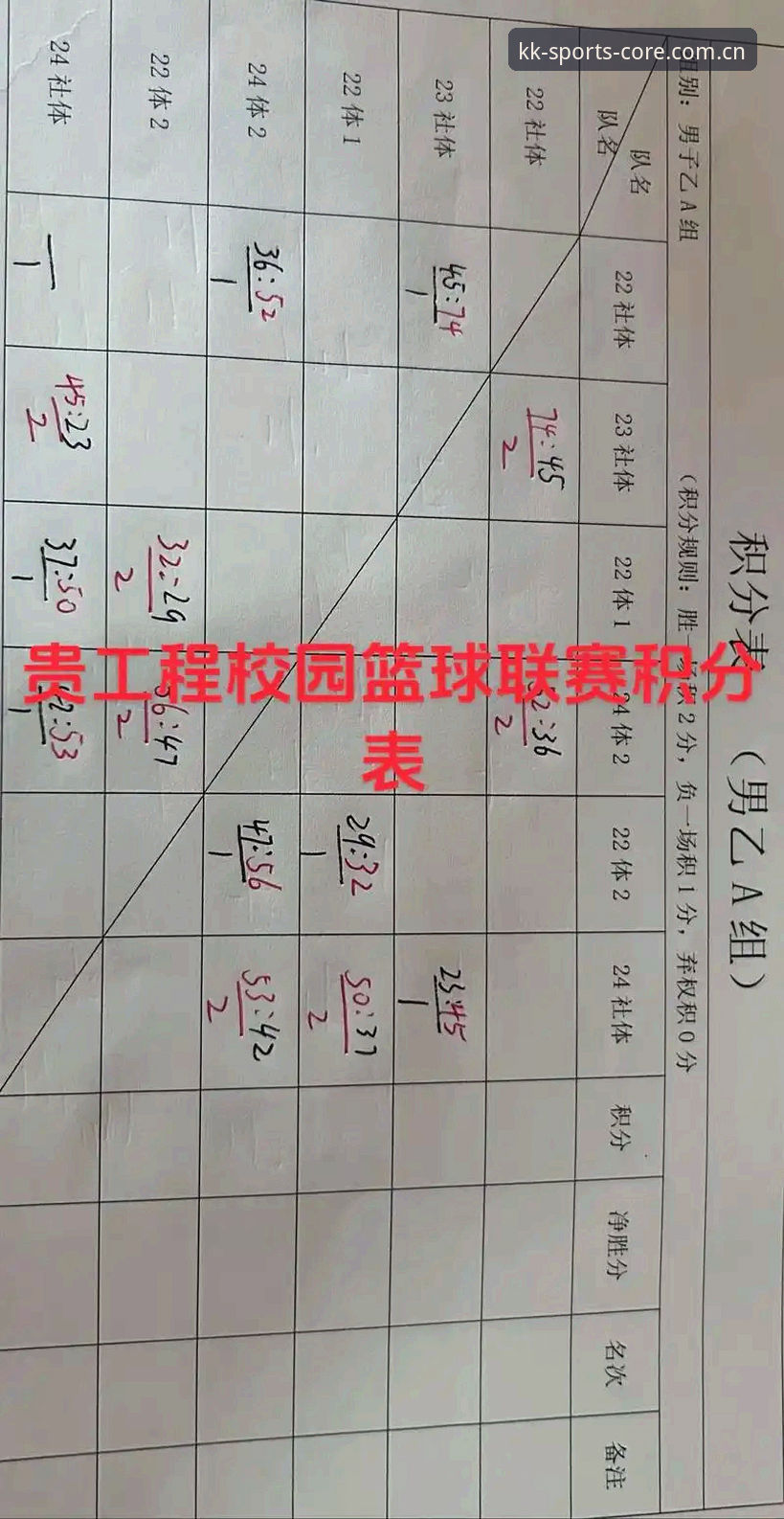 KK体育积分榜看功能详解：从数据依赖到决策辅助的实用技巧
